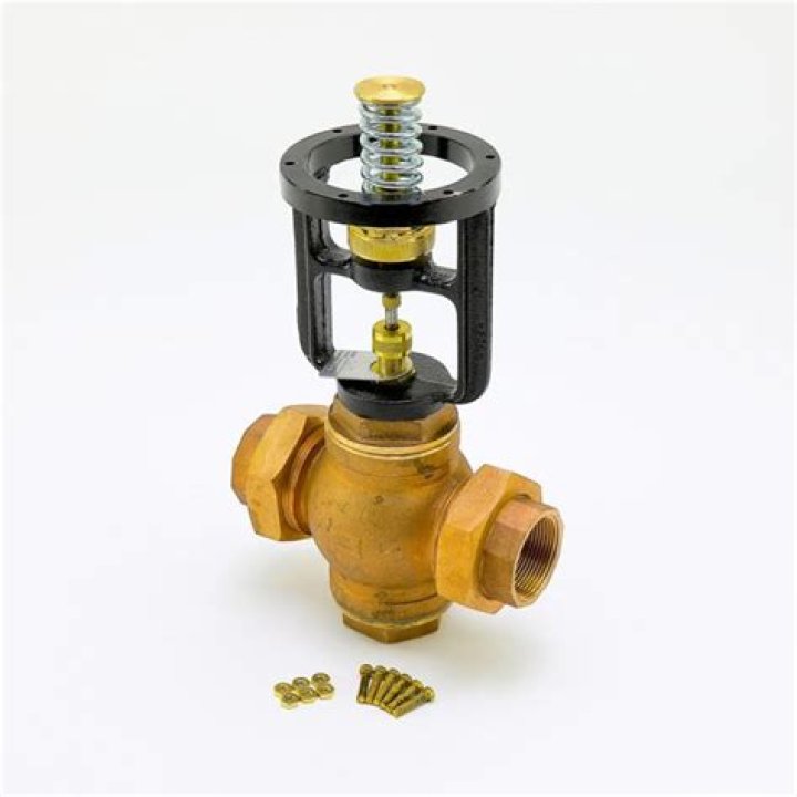 Sturgis Motorcycle Rally Budweiser viral video circulated on social media