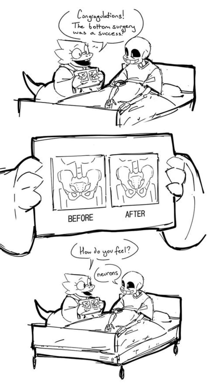 Myles Murphy Net Worth 2023 : Salary, Income Sources And Assets?