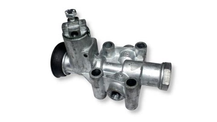 Seema Deo Death Reason: Veteran actress passes away at 81