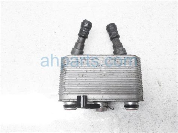 Neale Daniher Health Update 2023: What Happened To Australian Rules Football Player?