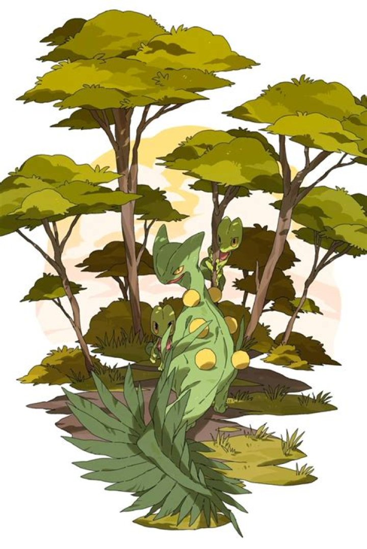 Ed Gillette Obituary And Death: What Happened to Kayak Ed Gillette? - News