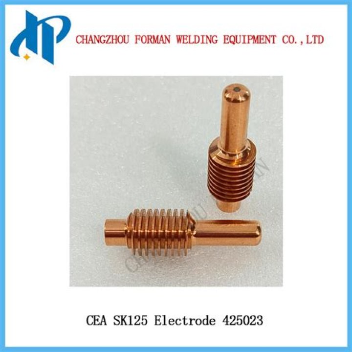 Who Is Antonio Tonino Pellegrini? Get Lorenzo Pellegrini Parents Details - SarkariResult