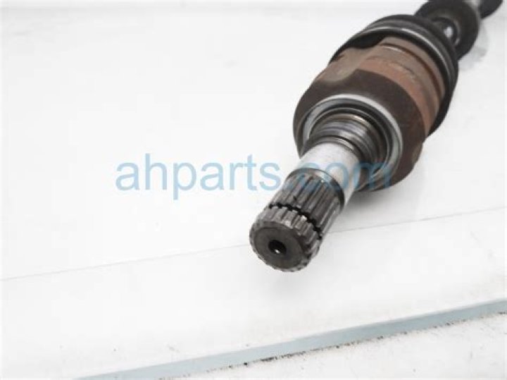 Hocus Pocus 3 Release Date - Spoilers & Where To Watch? - SarkariResult