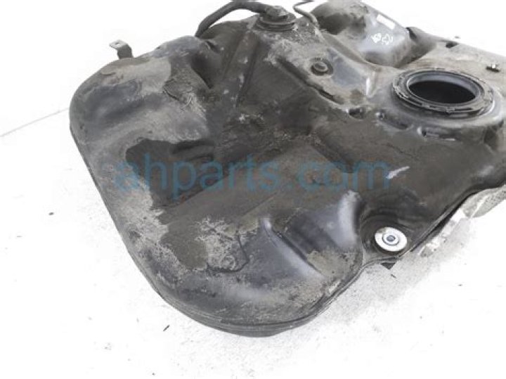 Savannah DeMelo Ethnicity: What Is Savannah Demelo's Ethnicity? - SarkariResult