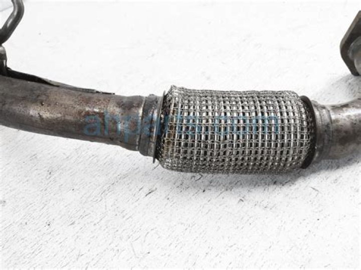 Jenna Ortega's Alleged Plastic Surgery: Comparing Before and After Photos - Fact or Fiction? - SarkariResult