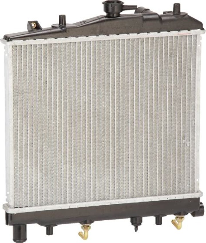 Nia Jax's Wrestling Legacy: Exploring Connections to The Rock's Ancestry - SarkariResult