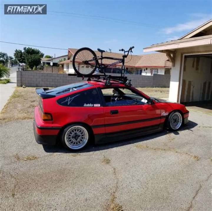 Peter Porte's Love Story and Marriage Status - SarkariResult