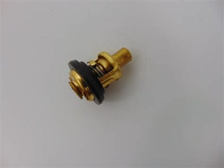 Decoding the Latest Buzz: Is Melania Trump Headed for a Divorce? - SarkariResult