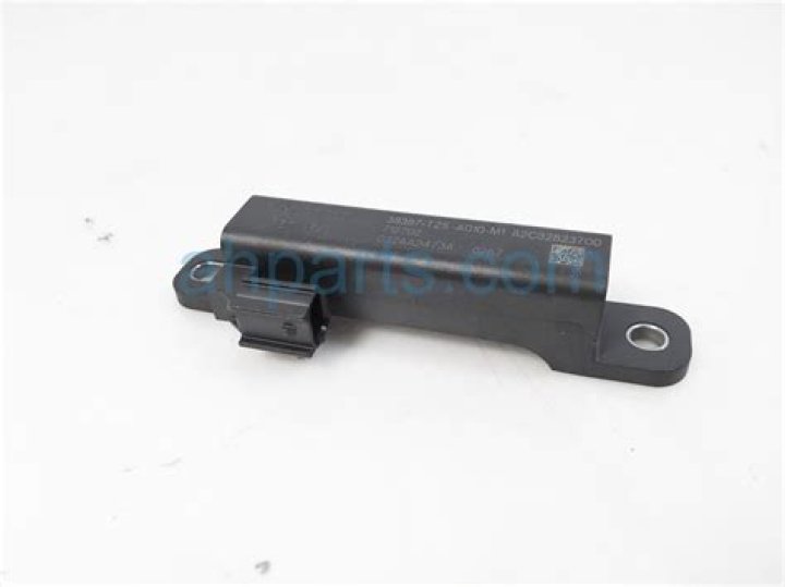 Did Cancer Claim the Life of Acclaimed Actress Judy Holliday? - SarkariResult