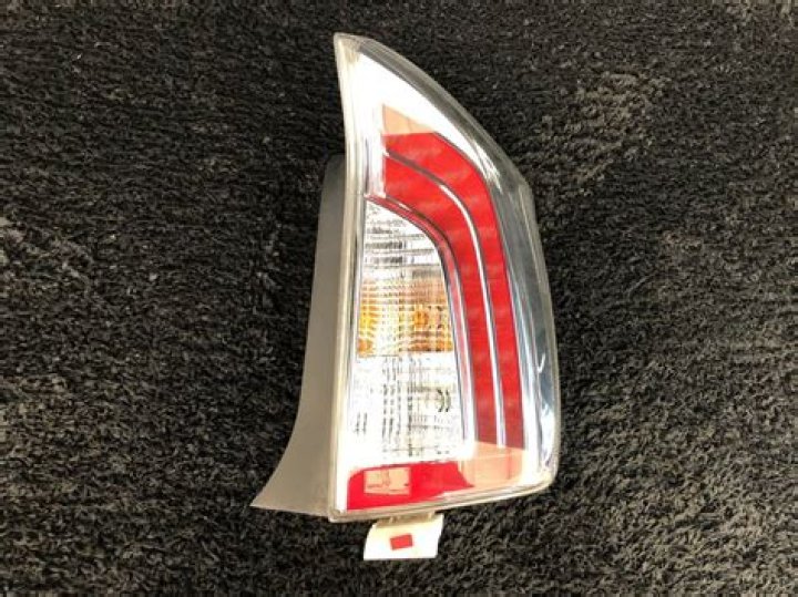 Haley Lu Richardson's Height: A Glimpse into the Actress's Early Life - SarkariResult