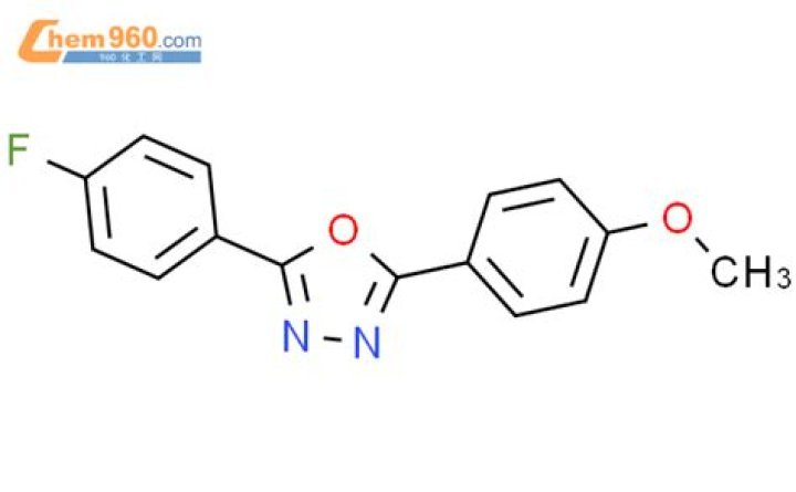 Sean Strickland's Mystery Girlfriend: Uncovering the UFC Middleweight Contender's Relationship - SarkariResult