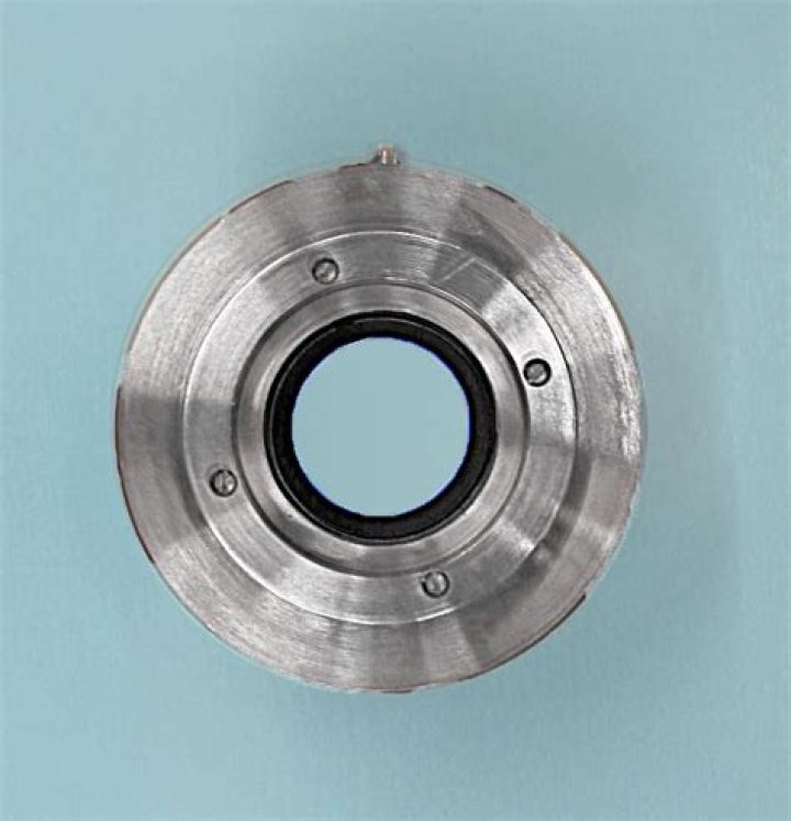 Lisa Bonet Net Worth: Details About Cars, Income, Movie, Career, Bf, Age - SarkariResult