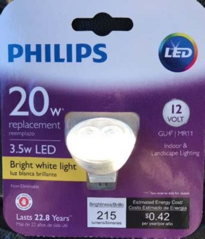 Usain Bolt Net Worth: Details About Biography, Assets, Salary, Awards - SarkariResult