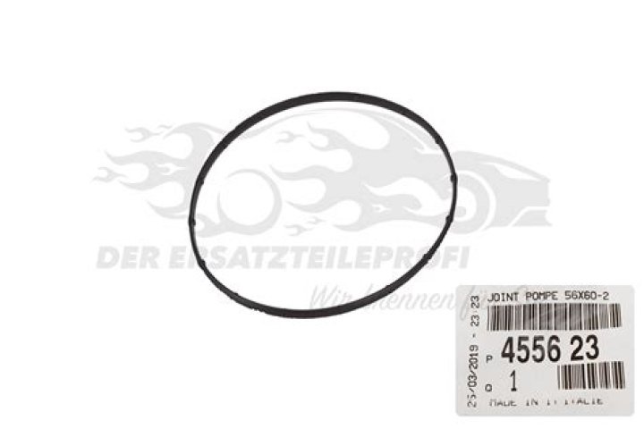 What Led to Maddy Cusack's Passing? What Happened to Maddy Cusack? - SarkariResult