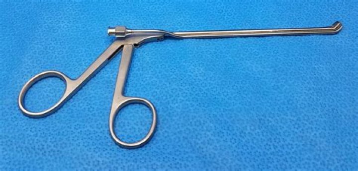 Danny Green Net Worth: Details About Wife, Career, NBA, Income, Cars, Age - SarkariResult