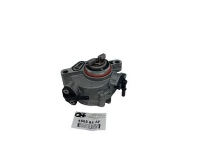 Thora Birch Net Worth: Details About Bf, Income, Movie, Career, Cars, Age - SarkariResult