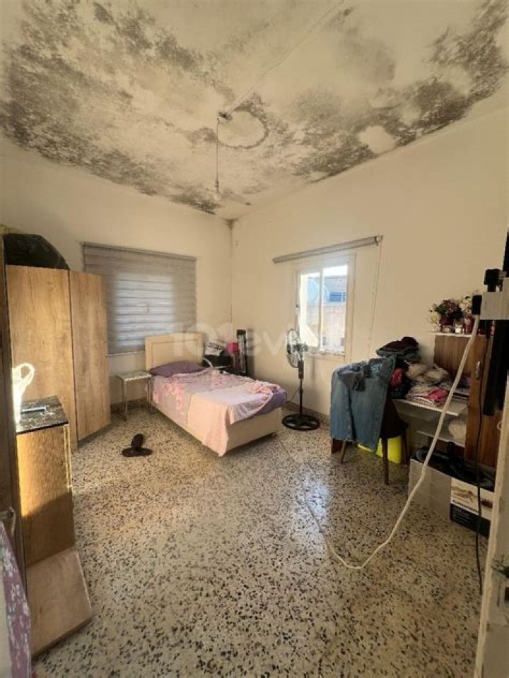 Nathan Chen Net Worth: Details About Earnings, Cars, Age, Career, Assets - SarkariResult