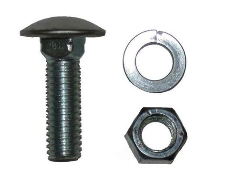 Luke Combs' Children Growing Up Quickly: Meet Tex and Beau! - SarkariResult