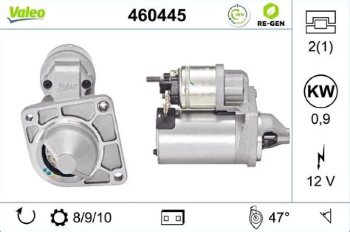 Steve Buscemi's Age: Exploring His Early Life and Education - SarkariResult