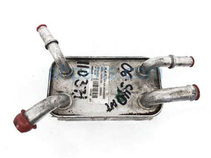 Prithvi Shaw Net Worth: Details About IPL, Career, Assets, Age, Income - SarkariResult