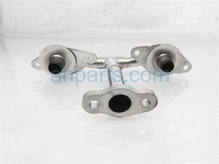 Elisa Donovan Net Worth: Details About Movie, Career, Age, Home, Income - SarkariResult