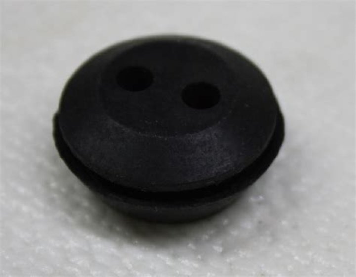 Shannon Tweed Net Worth: Details About House, Income, Movie, Career - SarkariResult