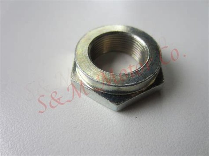 Paris Jackson Net Worth: Details About Age, Wealth, Modeling, Earnings - SarkariResult