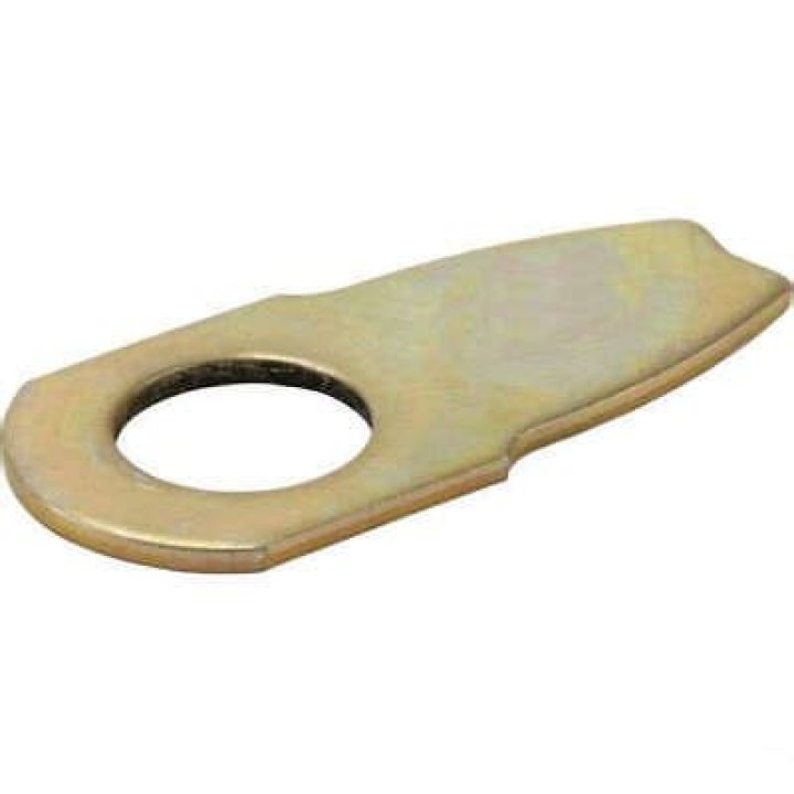 Mikey Williams Net Worth: Details About Parents, Age, Stats, Height - SarkariResult