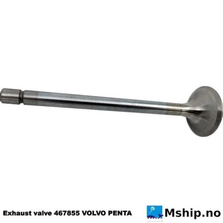 Christian Lopes Net Worth: Details About Athletics, Wife, Stats, Salary - SarkariResult