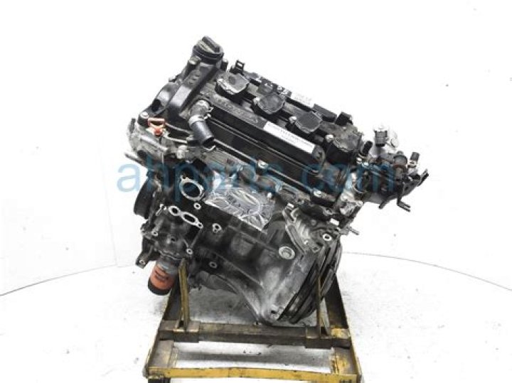 Tatiana Sorokko Net Worth: Details About Income, Career, Modeling, Age - SarkariResult