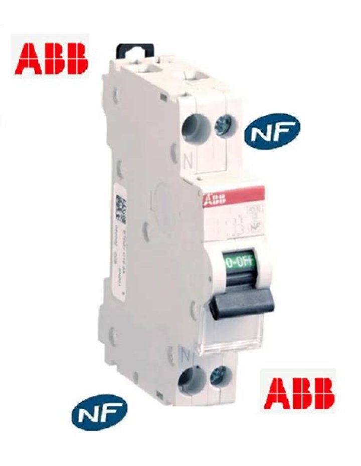 Eleanor Matsuura Net Worth: Details About Husband, Age, Parents, Youngs - SarkariResult