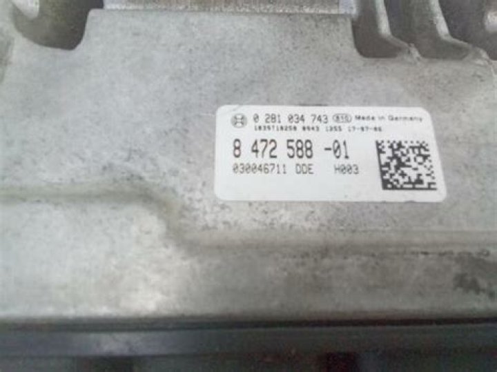 Ark Fjordur Magmasaur Eggs - SarkariResult