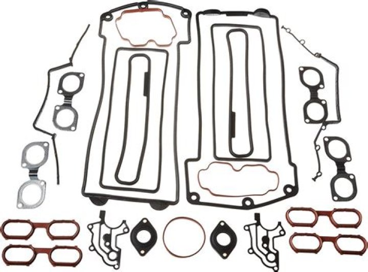 Savannah Chrisley Net Worth: Details About Age, Career, Income, Assets - SarkariResult