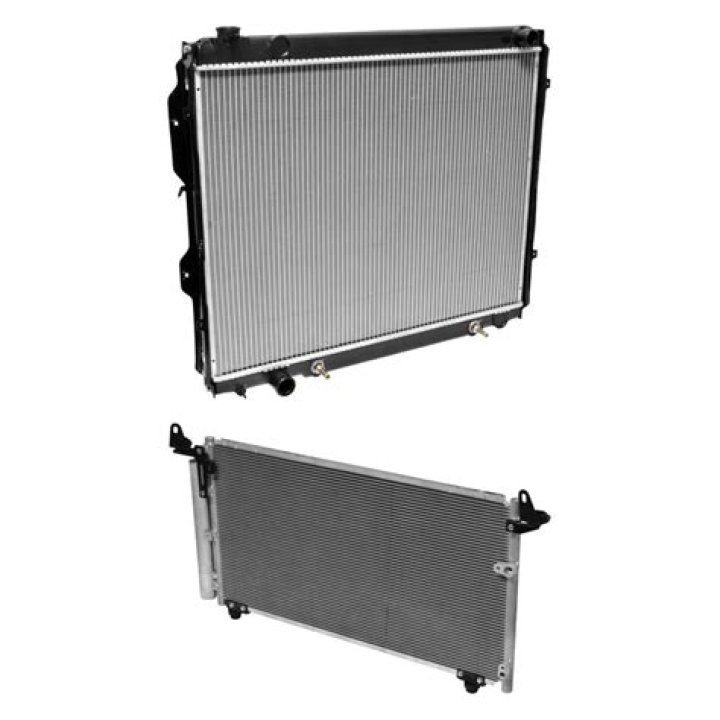 Detroit synagogue president Samantha : Found stabbed to death outside home - SarkariResult