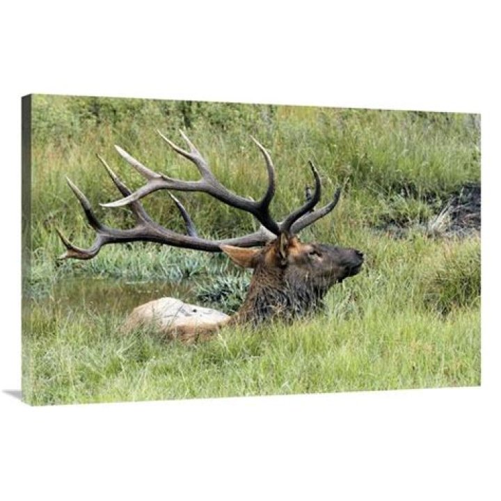 Canada Tax Deadline 2024: When Are Your Taxes Due? - SarkariResult