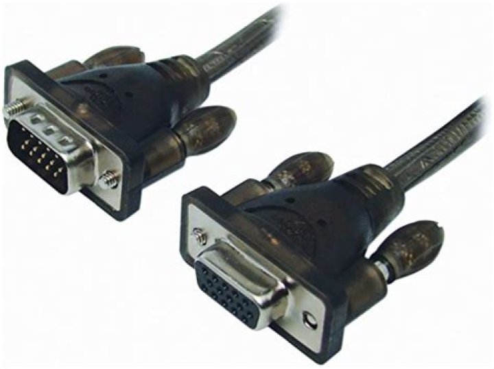 Is Meg Lanning Gay? Taking a Deeper Dive into Her Private Life! - SarkariResult