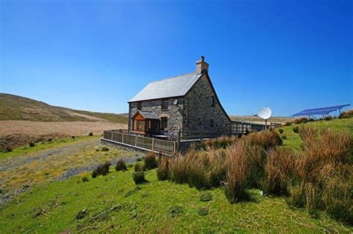 Exploring the Identity of Ines de Ramon, Brad Pitt's Girlfriend - SarkariResult