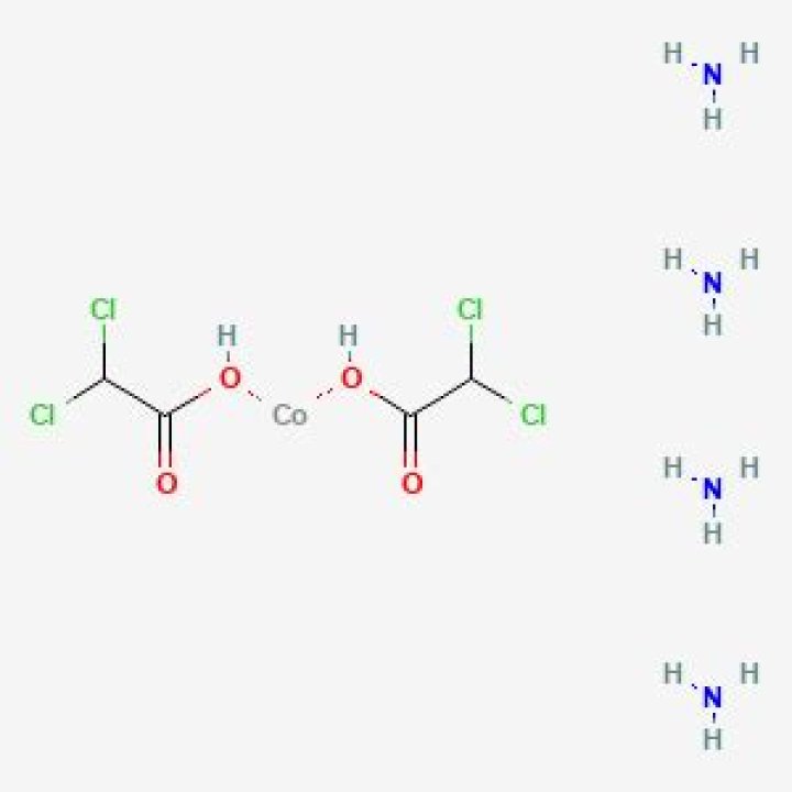 Model Jessica Davies Wife Of Travis Head Biography, Net Worth, Age, Family, Religion, Salary, Income & Assets - Check Details - SarkariResult