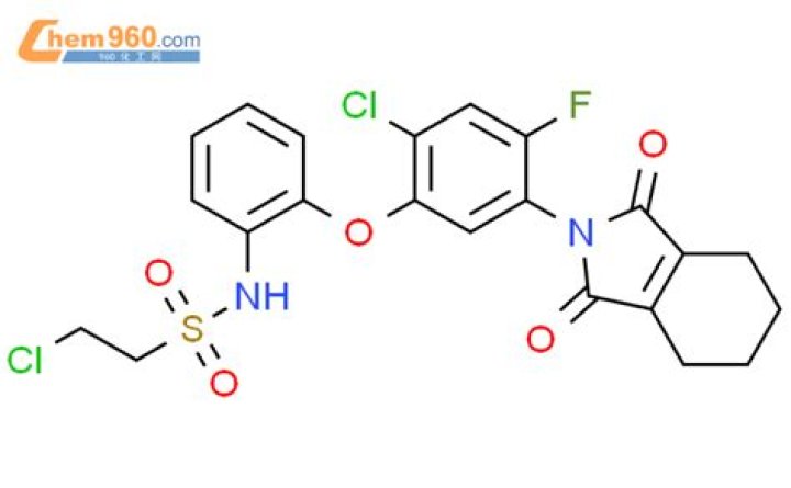 Jason Kelce Net Worth 2023 : Biography, Age, Family, Religion, Salary, Income & Assets - Check Details - SarkariResult