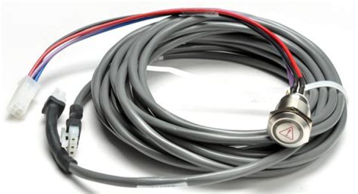 TJ Stukes in Squid Game: Unveiling Details about the Basketball Player and Participant 182 in The Challenge - SarkariResult