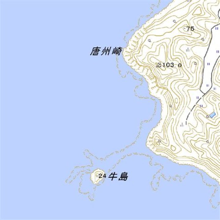 Vieirinha Net Worth: Details About Him, Career, Home, Age, Income - SarkariResult