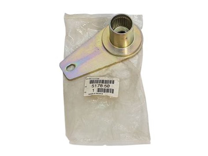 Kate from the LOL Podcast Pregnancy Update: Is Kate Pregnant? Exploring the Possibility of a Baby Bump and Weight Gain. - SarkariResult