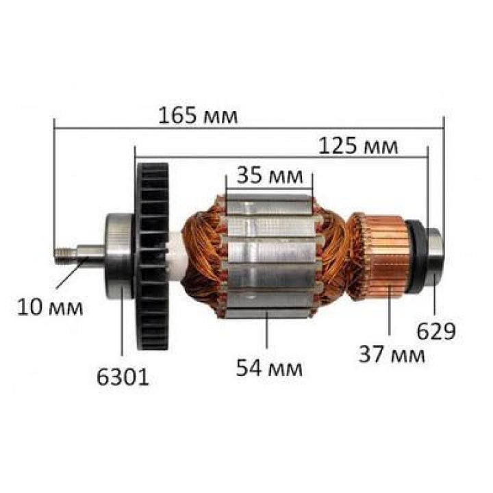 Lucy Dacus Ethnicity : Biography, Net worth, Age, Family & More details - SarkariResult