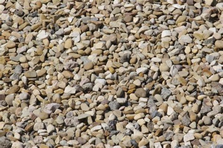 Jordan Belfort's Current Status: Checking His Whereabouts and Activities Now - SarkariResult