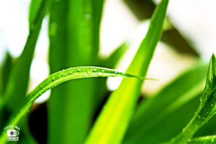 I Obtained a Mythic Item Chapter 84 Release Date : Recap, Cast, Review, Spoilers, Streaming, Schedule & Where To Watch? - SarkariResult