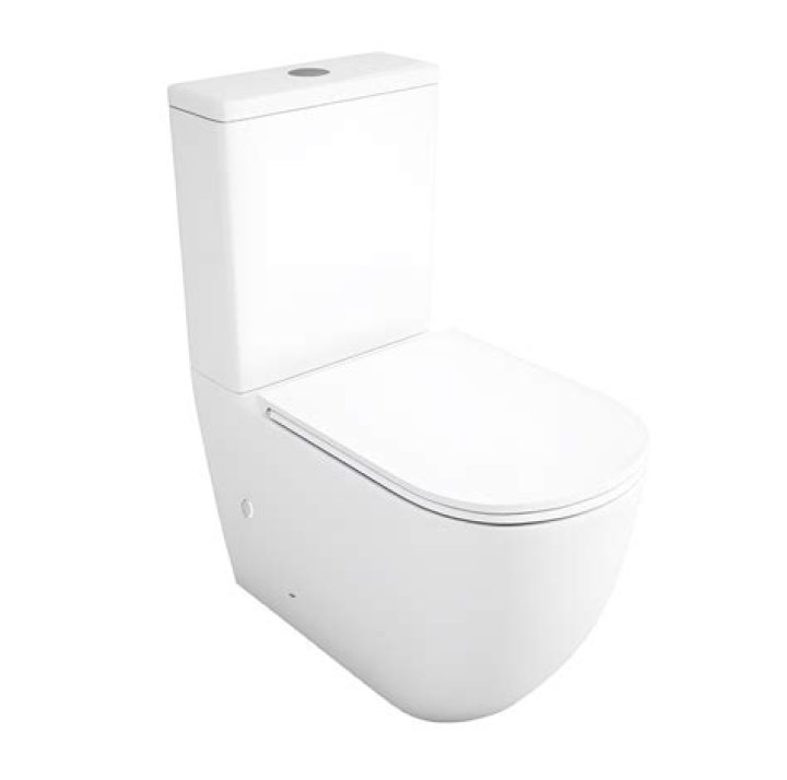 Is Sal On Impractical Jokers Gay? What Do We Know? - SarkariResult