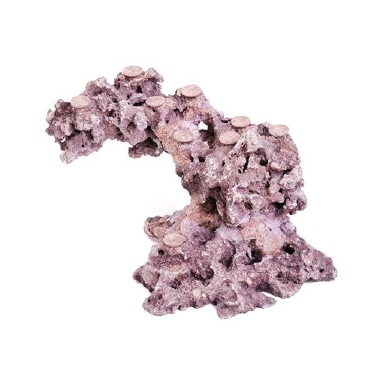 Korea's Tiktok Star Seo Won Jeong Faces Sexual Assault Charges; Investigation Unveils Disturbing Details - SarkariResult