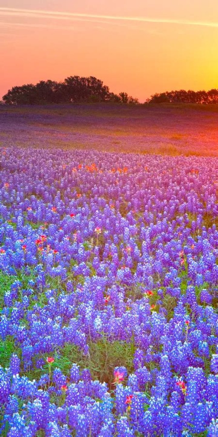 Armored Core 6 Update 1.05 Patch Notes: Gameplay and Wiki Details - SarkariResult