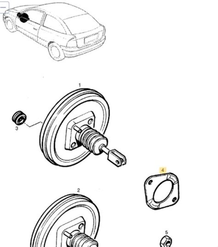 Sallie Ortmann Death Cause And Obituary : How Did Sallie Ortmann Die? - SarkariResult