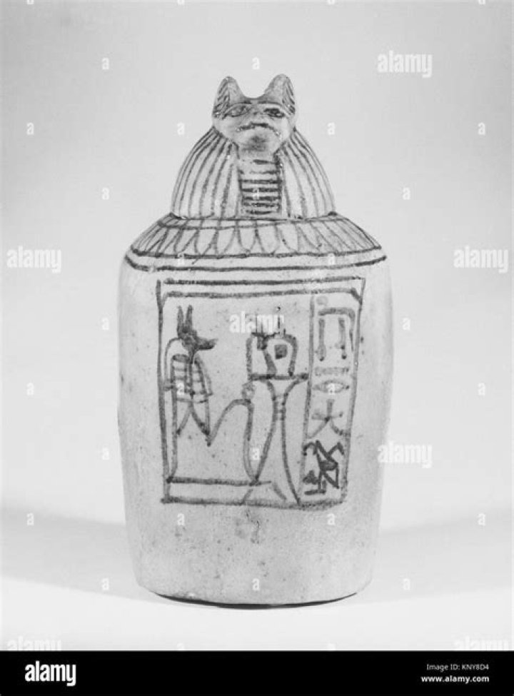 How to Fix Verizon App Not Working Issue? - SarkariResult